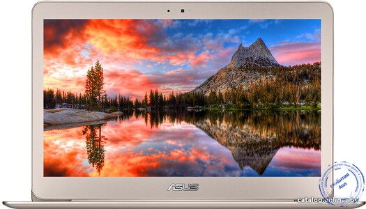 ноутбук ASUS Zenbook UX305CA-FC170T